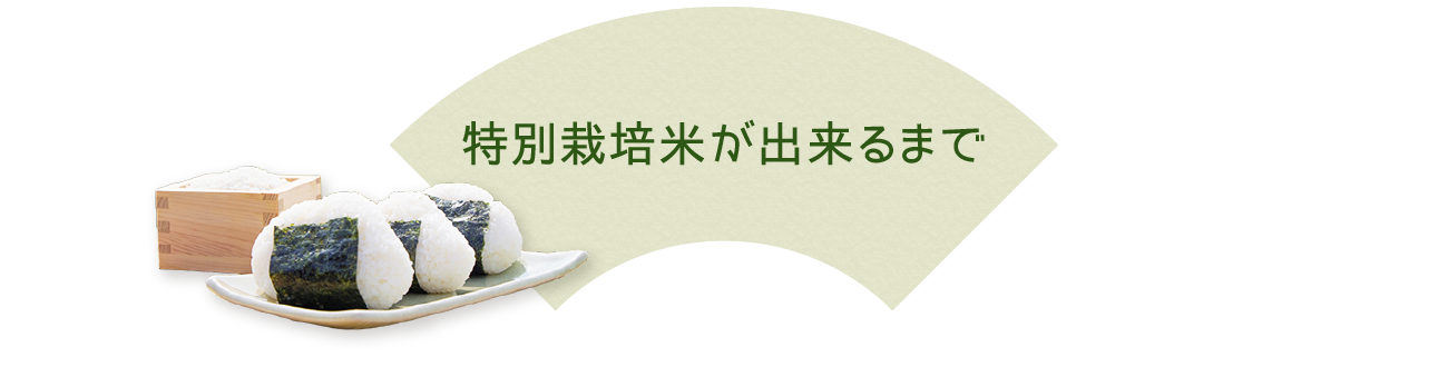 特別栽培米が出来るまで