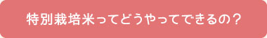 特別栽培米ってどうやってできるの？