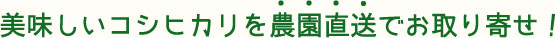 美味しいコシヒカリを農園直送でお取り寄せ！