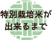 特別栽培米ができるまで